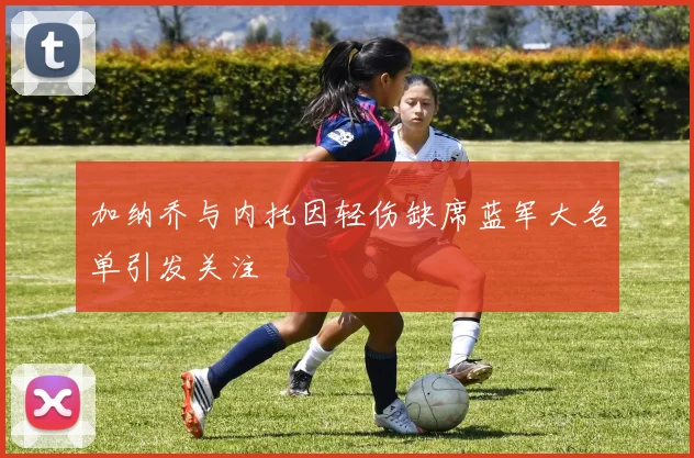 加纳乔与内托因轻伤缺席蓝军大名单引发关注