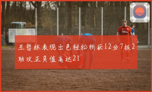 王哲林表现出色轻松斩获12分7板2助攻正负值高达21